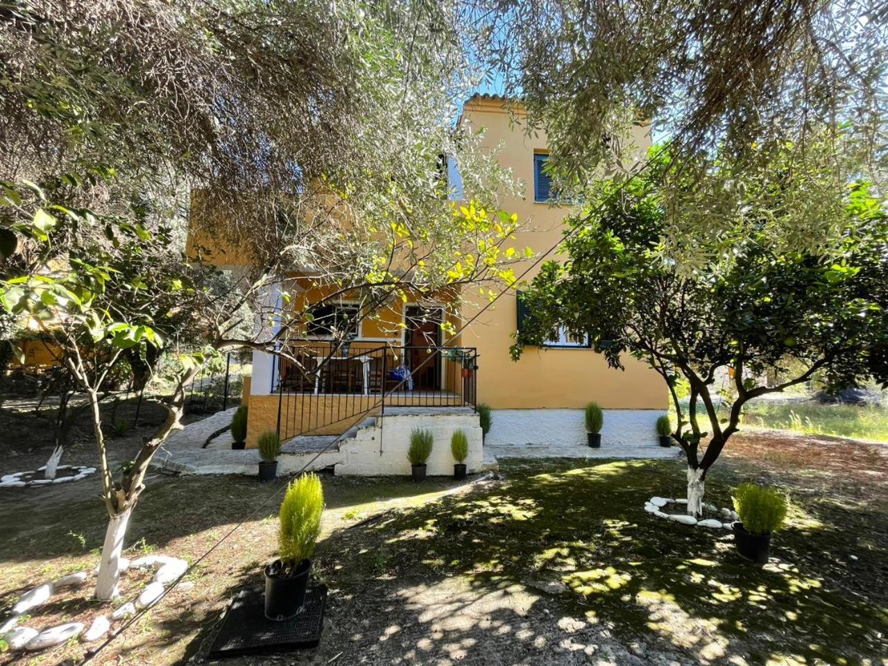Katerina Apartments Agios Georgios Pagon Exterior foto